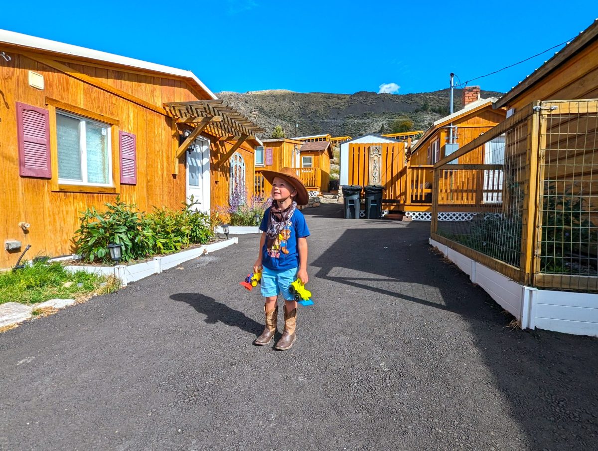 How Yellowstone Lodgings Offer Flexible Exploration Of The Park?